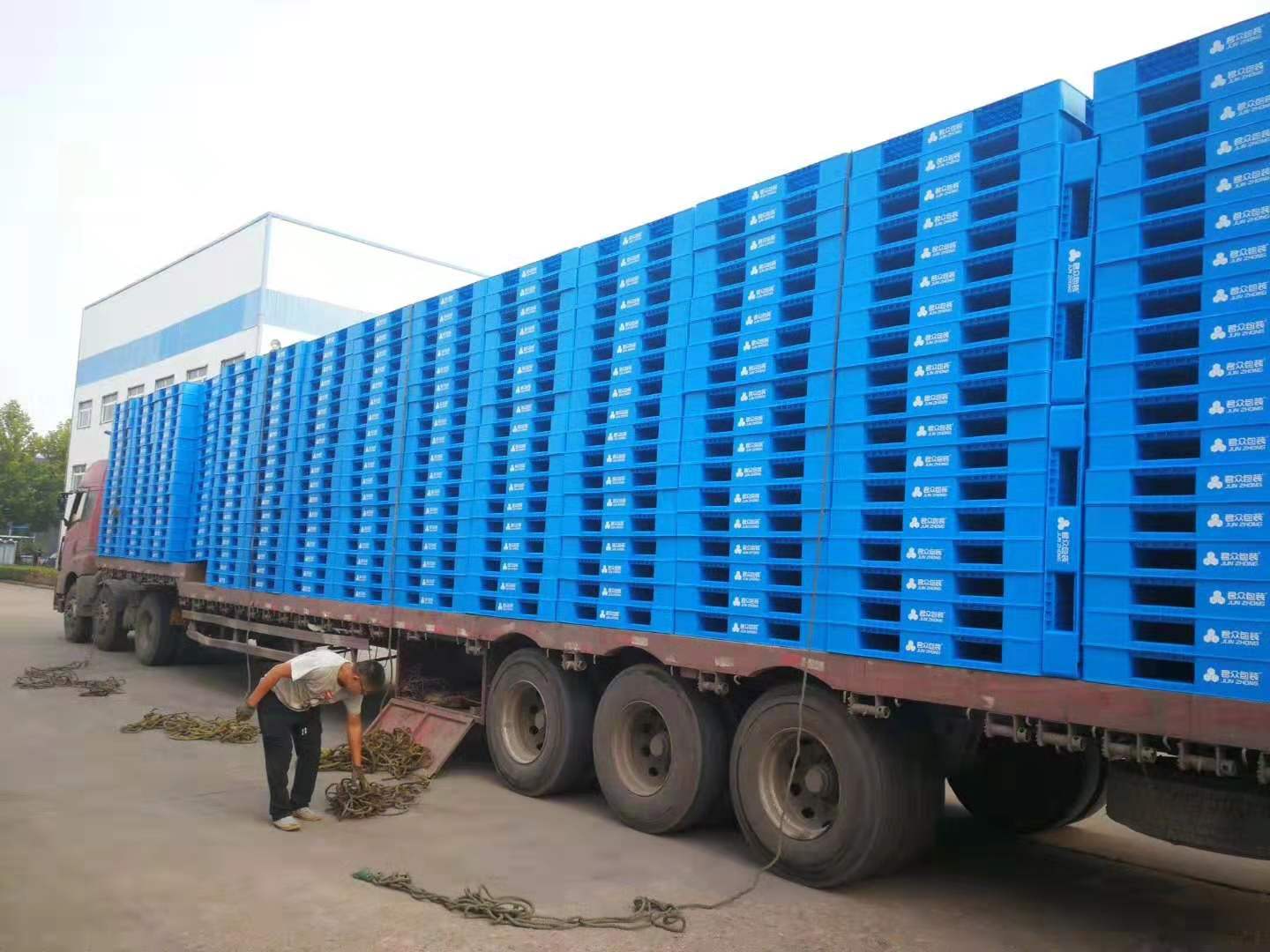 德州生產塑料托盤的廠家_供應德州地區的托盤生產廠家